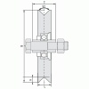 Roue à gorge triangulaire 300 V diamètre 80 mm - 1 roulement pour roues à roulements à billes