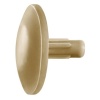 Cache plastique pour vis Spax Cap, beige, en boîte de 500