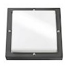 APPLIQUE MURALE INTÉRIEUR ET EXTÉRIEUR BASSI GRAPHITE E27 classe I IP65 - SG Lighting