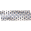 Extension ruban MaxLED 250 5 m 20 W 2700K 1500 lm argent