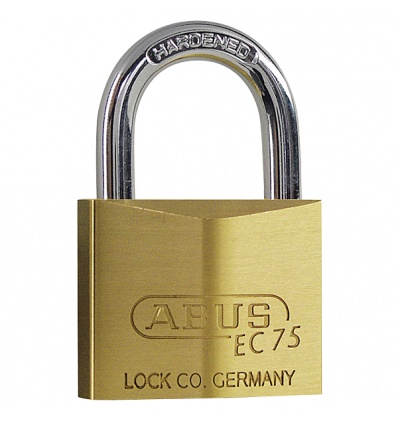 Cadenas laiton en 60 mm avec anse acier 9 mm livré avec 5 clés réversibles