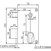 Serrure pour grille et portail Vachette réf 187 verticale à fouillot acier vernie