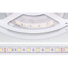 Bande Led 24 V 144 W IP67