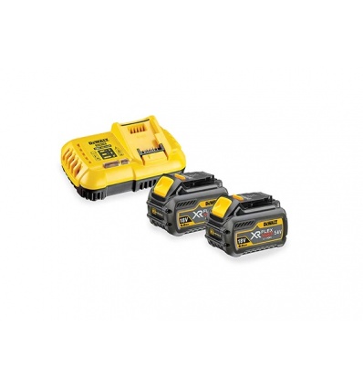 Pack de 2 batteries XR Flexvolt Dewalt DCB118X2 18 54 V 9 3 Ah chargeur rapide