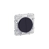 Interrupteur vaetvient Schneider Electric ODACE 10 A à vis S540214