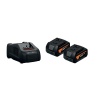 Set de démarrage FEIN 2 batteries GBA 18V 5AH AMPShare et un chargeur rapide GAL 1880 CV AMPShare