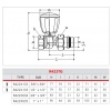 Robinet thermostatisable droit série fer Giacomini R422TG