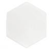 Vis à métaux Acton tête hexagonale nylon 66 DIN 933