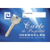 Cylindre européen Heracles Snake double entrée varié 315 x 415 mm SK10083141