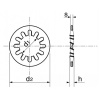 Rondelle à dents intérieures Acton A2 DIN 6