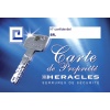 Cylindre monobloc Heracles SR type FI66 varié chromé 473SRE240AB9