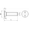 Vis à métaux Acton tête fraisée 2 trous inviolable A2