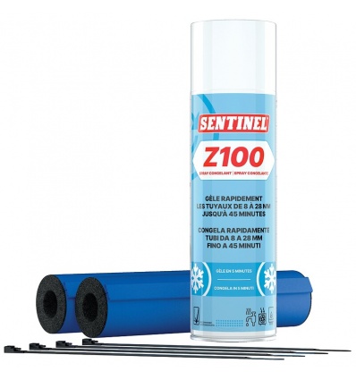 Kit congelant spray Sentinel Z100 pour tuyaux de 8 à 28 mm composition 1 aérosol 300ml 2 manchons et tubes capilaires