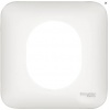 Ovalis - Plaque de finition blanche (RAL9003) - 1 poste Blanc - SCHNEIDER ELECTRIC