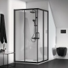 Porte de douche paroi accès dangle Connect II 80cm profilé noir mat