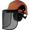 Casque type forestier complet FORESTIER 3