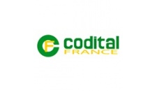 Codital